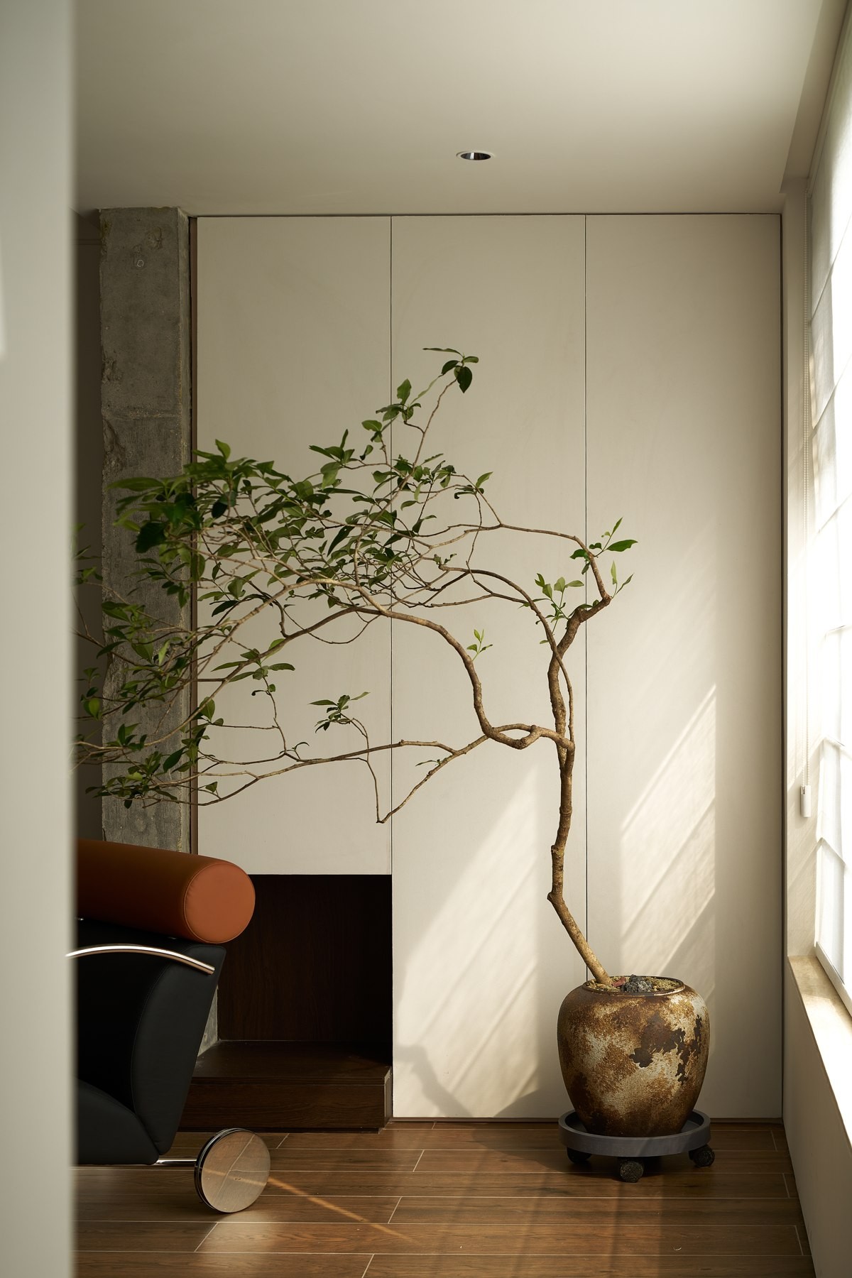 Window-side setting / Light and furnishings · Completed-project photograph